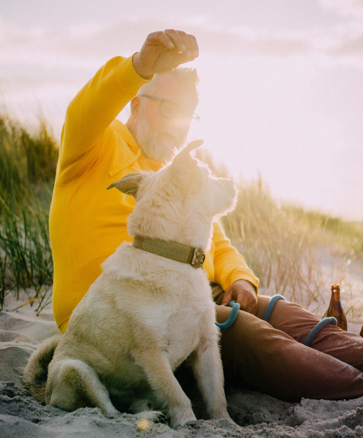 Mann in gelbem Sweatshirt sitzt am Sandstrand und spielt mit seinem Hund - eine perfekte Szene für Camping mit Hund; zwei Bierflaschen liegen in der Nähe auf dem Boden.