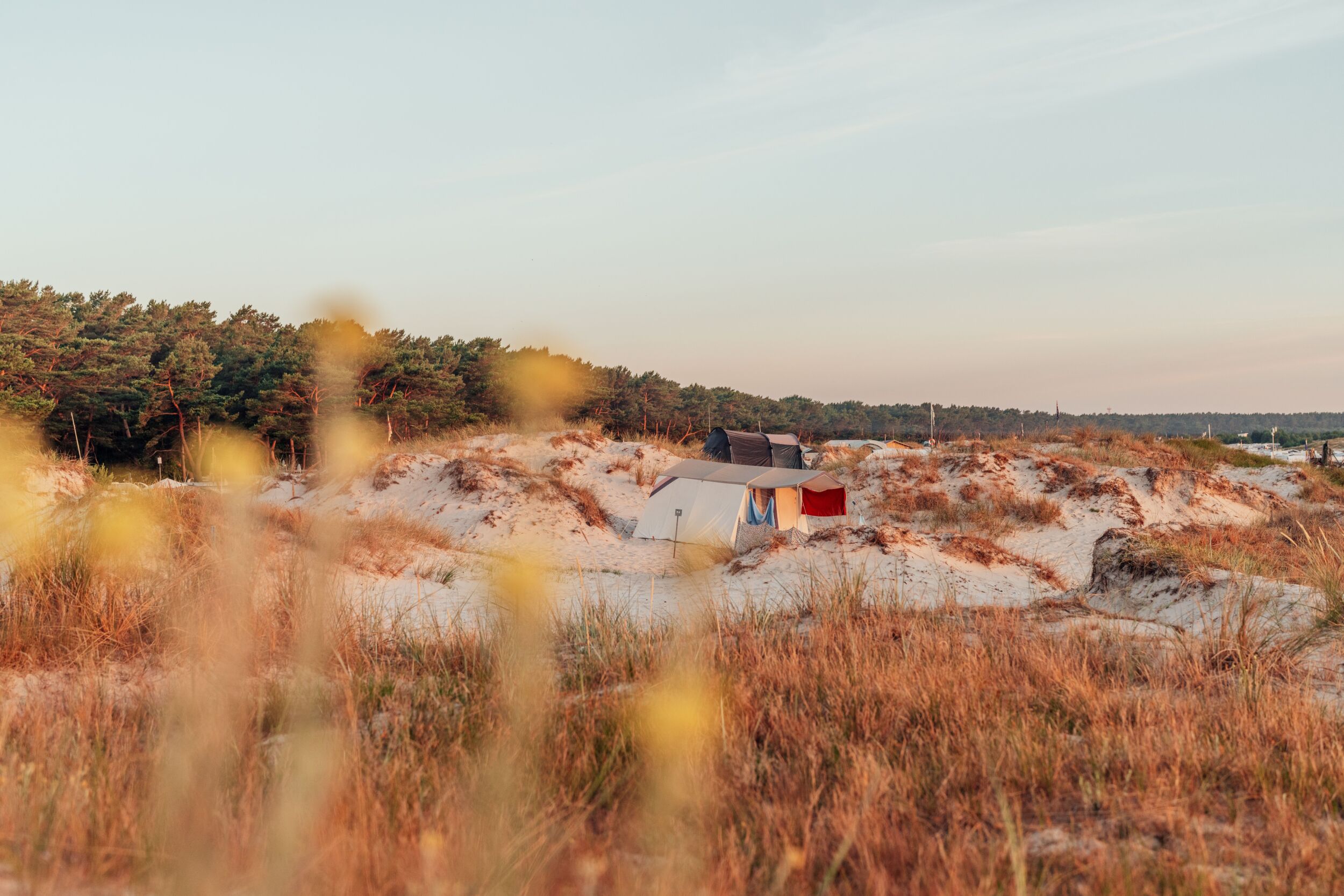 Auf sandigen Dünen steht ein Zelt – ideal für Herbstcamping –, umgeben von Gras und Kiefern bei Sonnenuntergang.