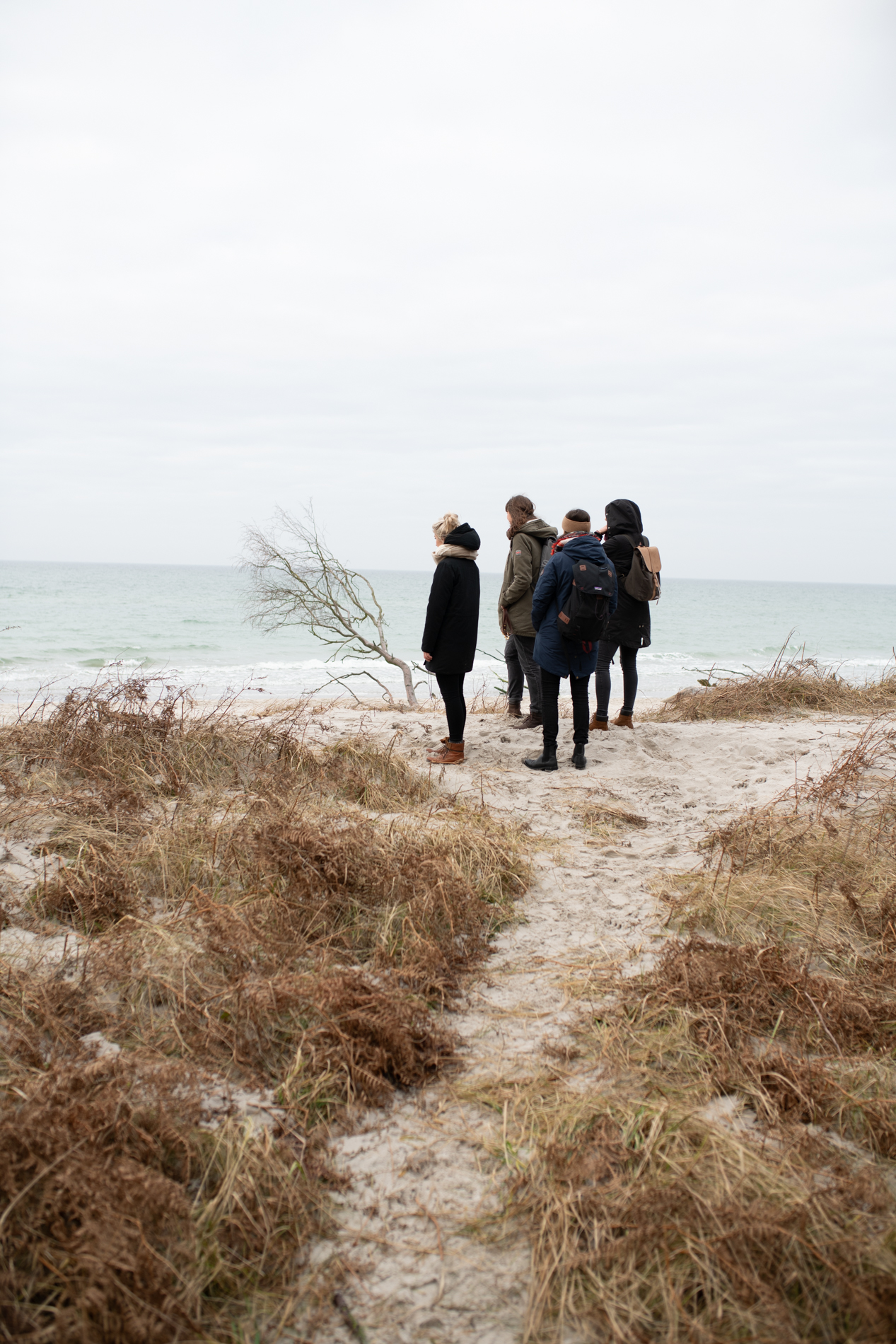 Fünf Menschen in Winterkleidung stehen an einem Sandstrand und genießen beim Wintercamping das Meer.