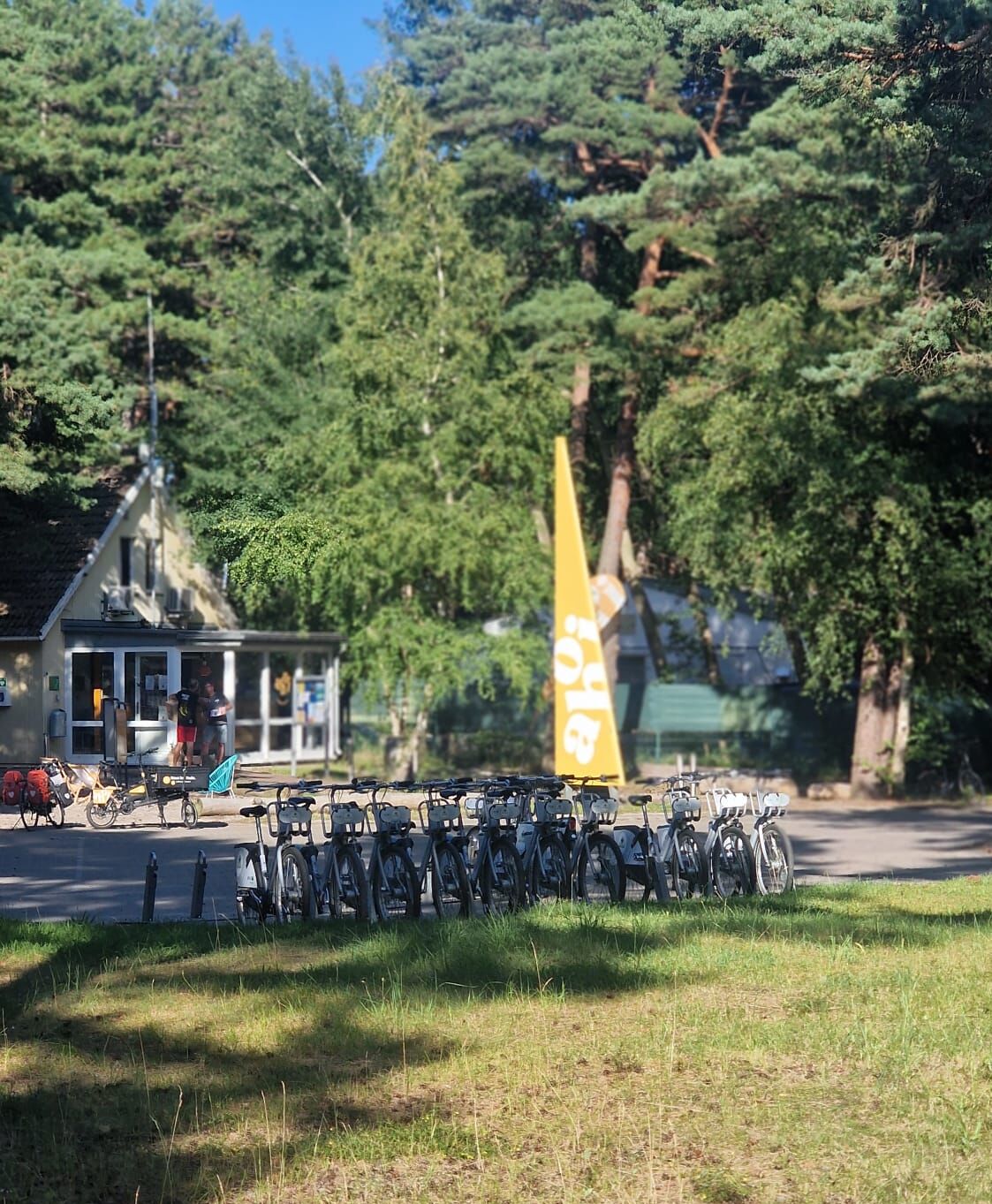 Auf einer Rasenfläche in der Nähe eines Gebäudes und einer gelben Fahne, umgeben von hohen Bäumen, steht eine Reihe von Fahrrädern.