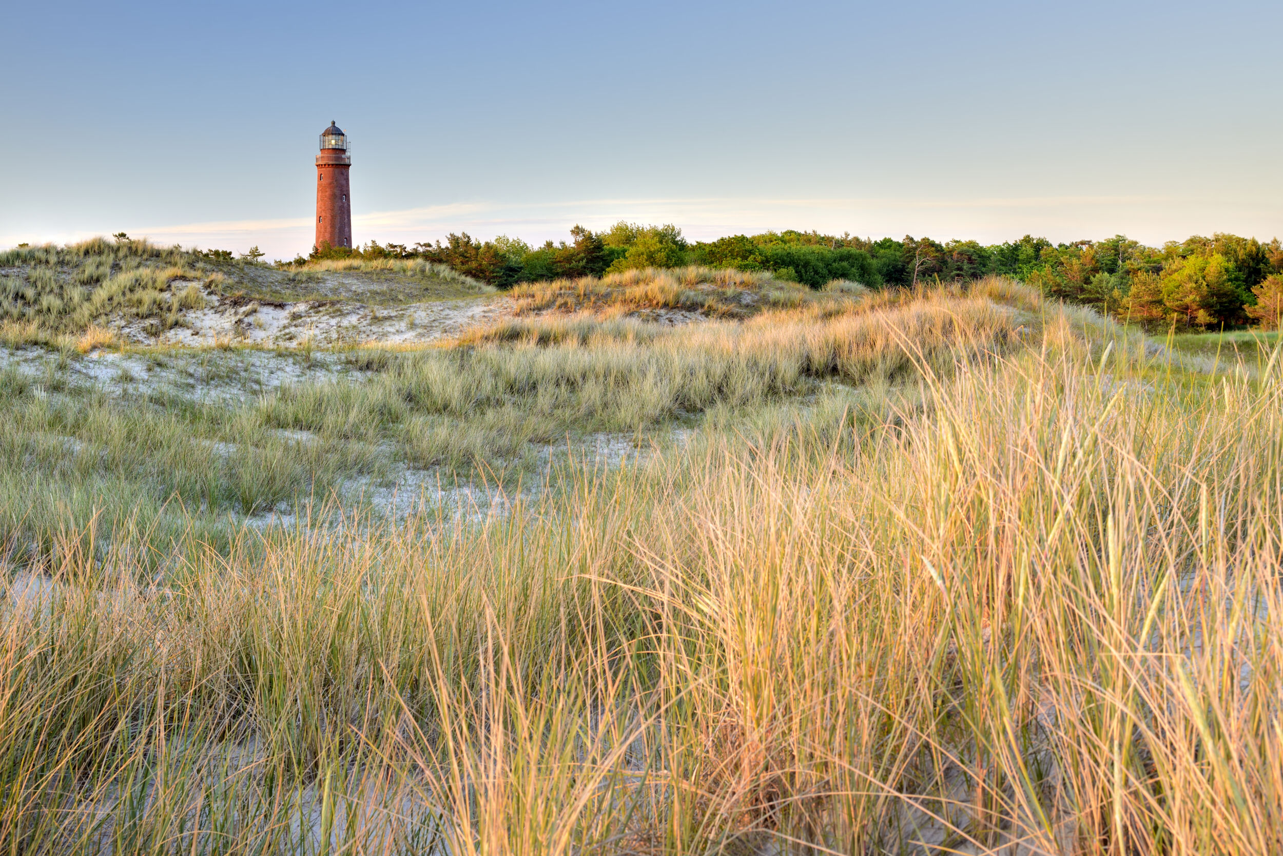Ein Leuchtturm aus rotem Backstein ragt bei Sonnenuntergang unter klarem Himmel hinter grasbewachsenen Sanddünen empor und markiert den beschaulichen Rand des Nationalparks Vorpommersche Boddenlandschaft.