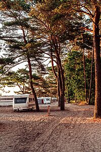 Wohnwagen, die zwischen hohen Kiefern auf einem Sandplatz geparkt sind, wobei das Sonnenlicht durch die Zweige fällt – perfekt für Camping auf dem Darß.